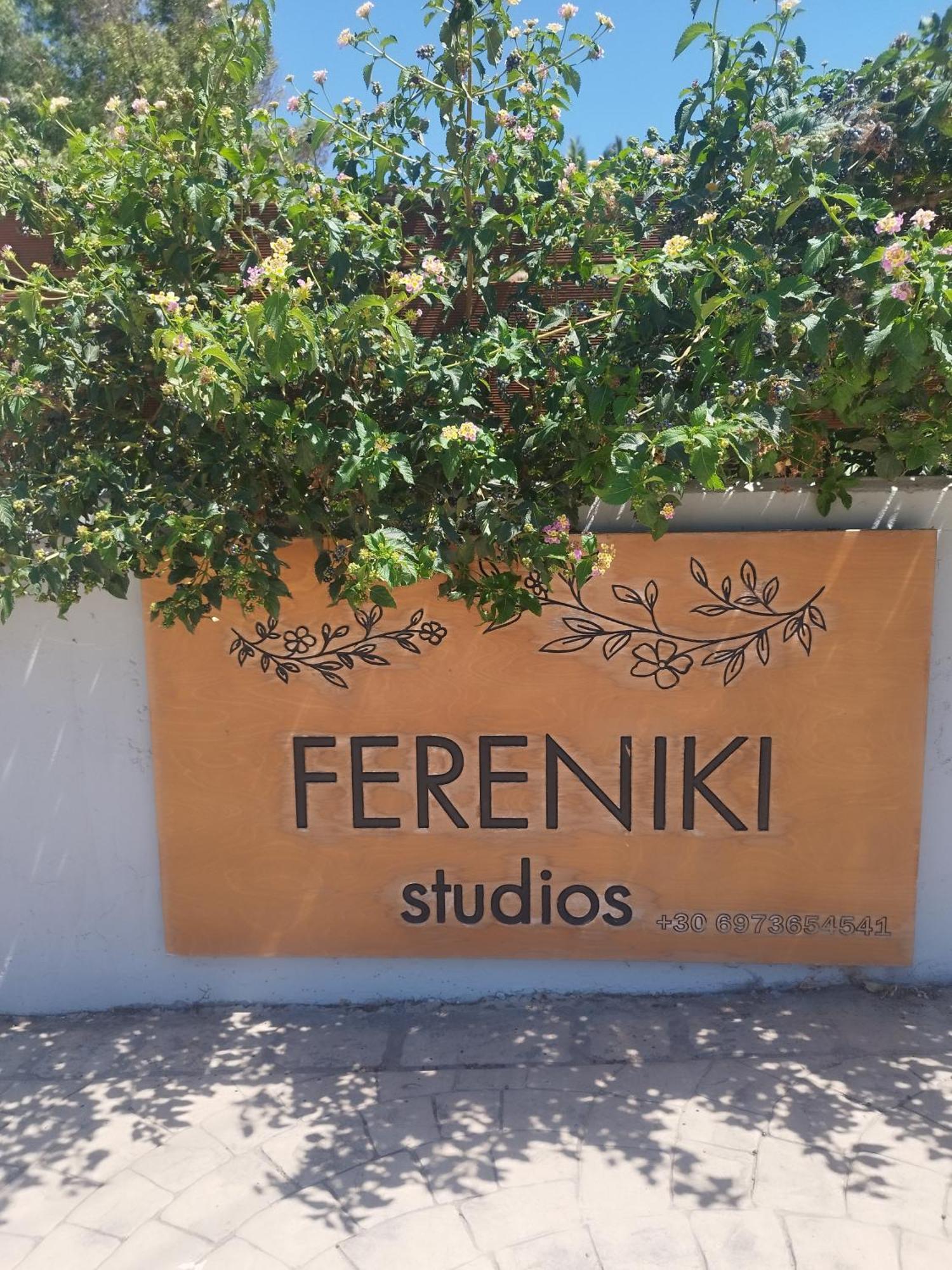 Fereniki Studios Plati  Zewnętrze zdjęcie